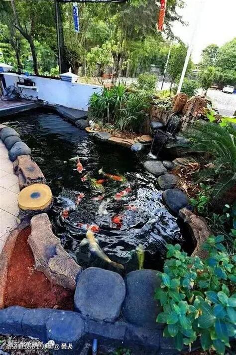 庭院魚池設計