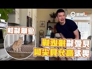 家裡有蟬