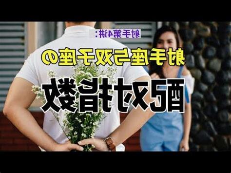雙子射手配對指數