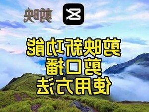 播的意思
