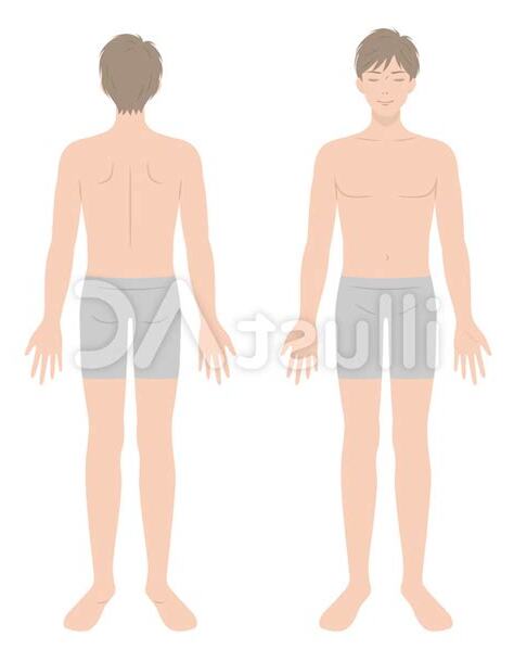 男性身體