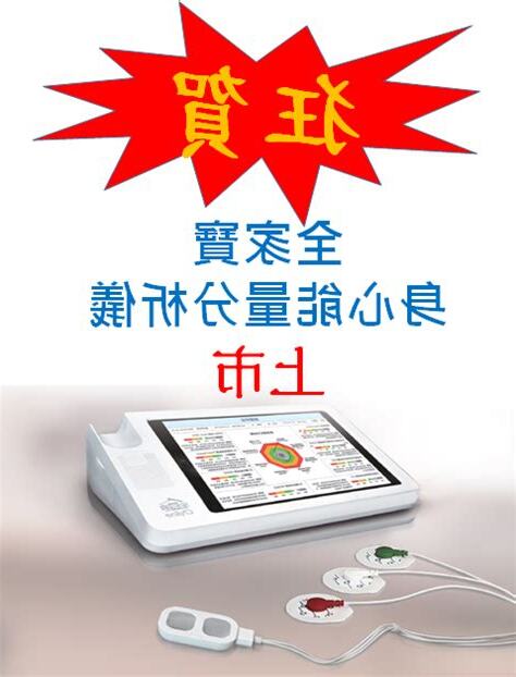 身心能量分析