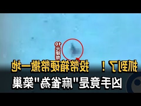 麻雀會築巢嗎