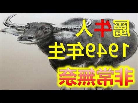 1949屬什麼