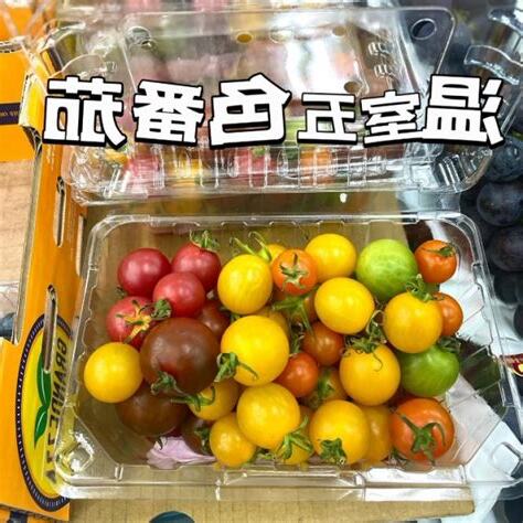 五色番茄