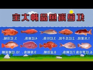 紅魚種類