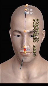 按人中意思