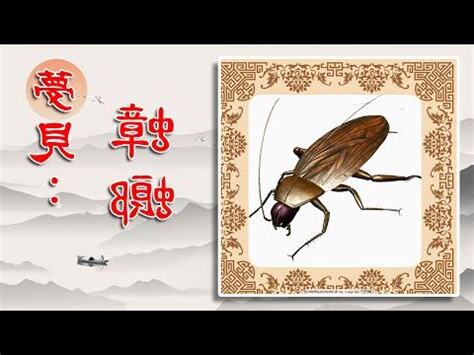 夢到兩隻蟑螂