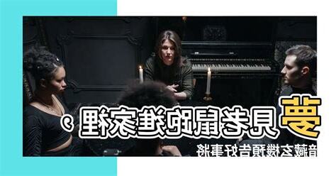 夢到老鼠跑進家裡