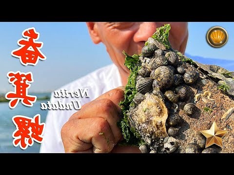 畚箕屋做生意
