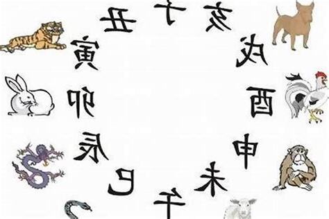 生肖房子坐向