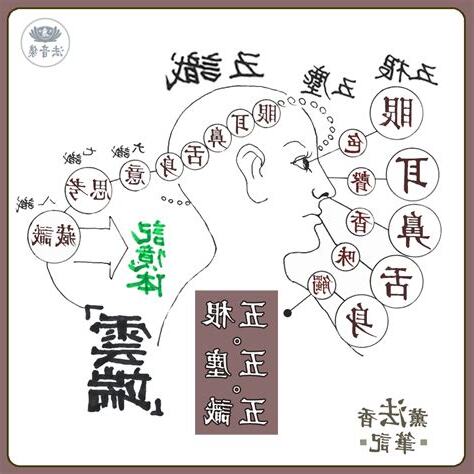 五根