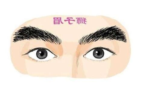 三角眉男人
