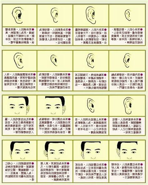 耳朵面相圖