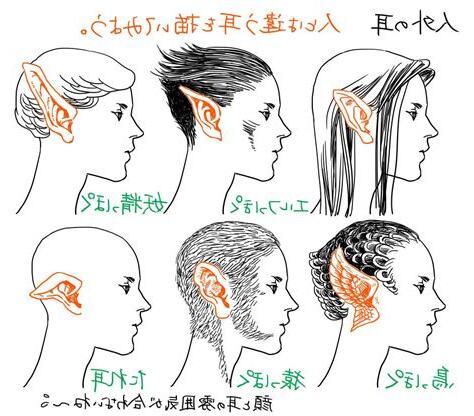 人外耳