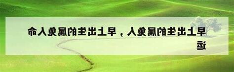 早上出生的人