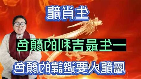 屬龍的企業家