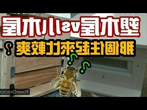 家裡有蜂窩代表