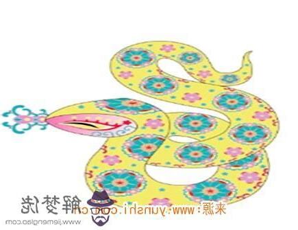 屬蛇的幸運物
