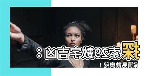 29數字吉凶