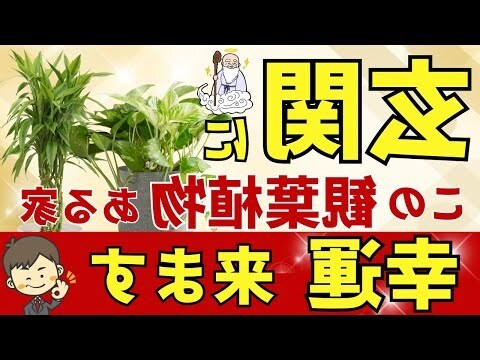 套房植物風水