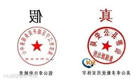 真假