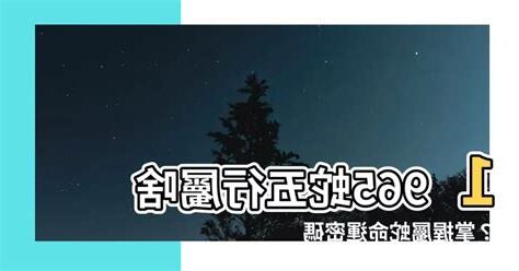 1965五行