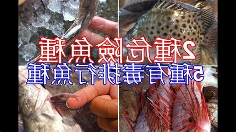 魚有血嗎