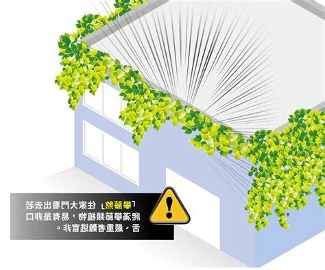 攀藤煞