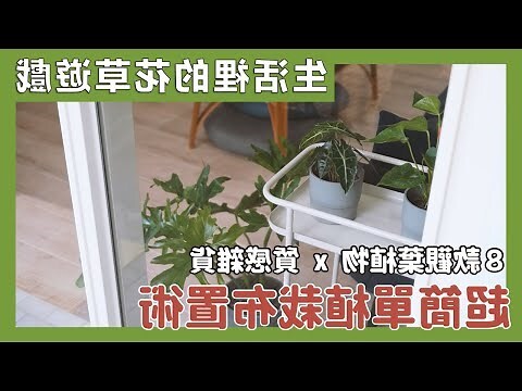 植物吊掛