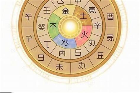八字五兩女