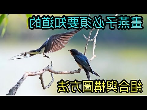 燕子畫法