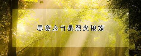 光照意思