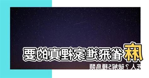 麻雀飛入屋