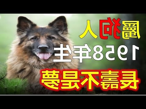 1958年生肖