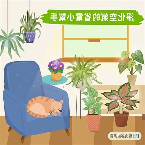 房間可以種植物嗎