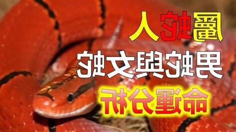 屬蛇的男人