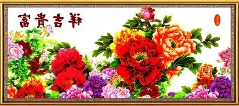 豬屬水