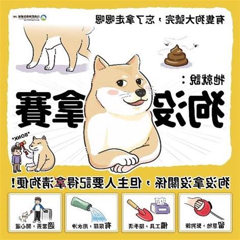 小狗亂大便