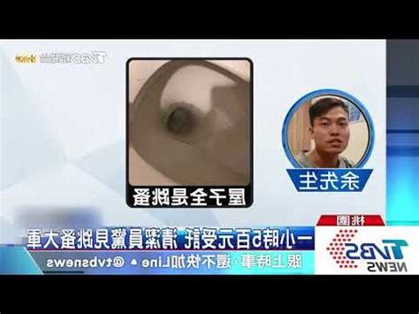 跳蚤喜歡藏在哪裏