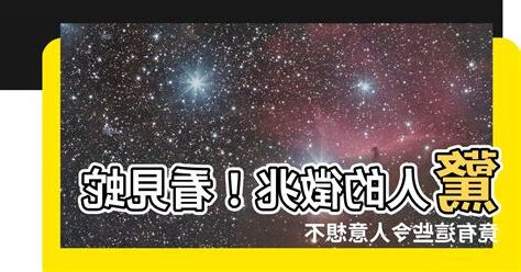 看見蛇有什麼徵兆