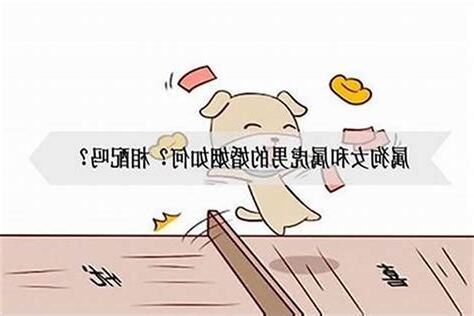 狗虎配
