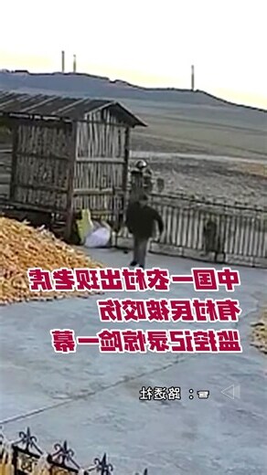 夢到老虎咬人