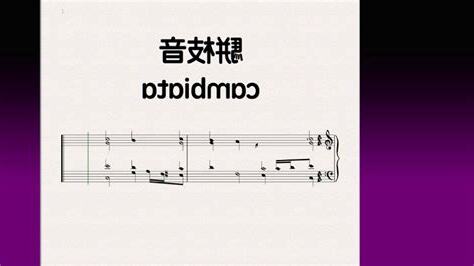 駢枝音