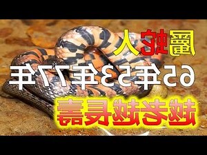 2023蛇年運程1965男