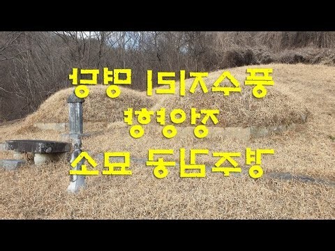 木局