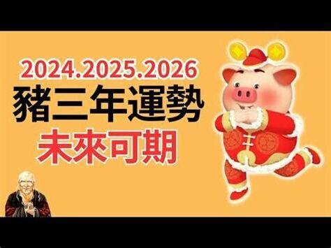 生肖豬2024