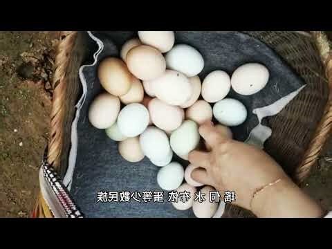 黃名字意思