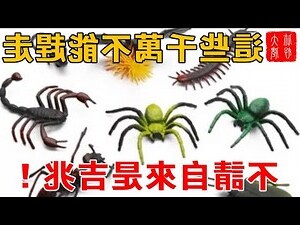 家裡突然很多蛾
