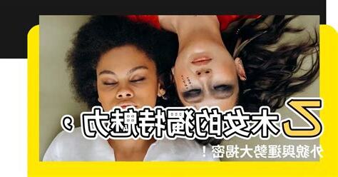 乙木女個性
